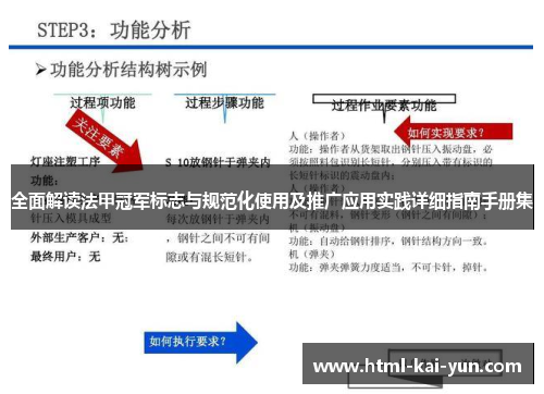 全面解读法甲冠军标志与规范化使用及推广应用实践详细指南手册集