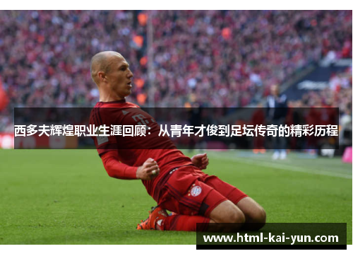 西多夫辉煌职业生涯回顾：从青年才俊到足坛传奇的精彩历程