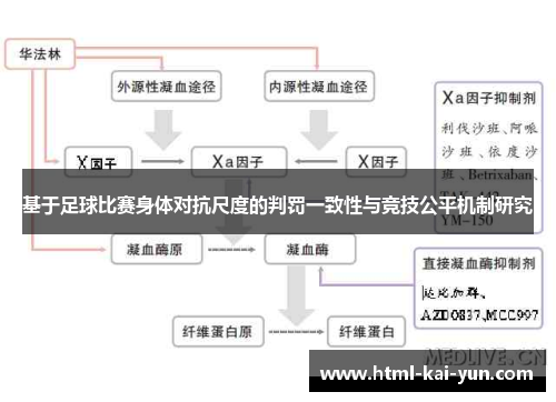 基于足球比赛身体对抗尺度的判罚一致性与竞技公平机制研究 基于足球比赛身体对抗尺度的判罚一致性与竞技公平机制研究