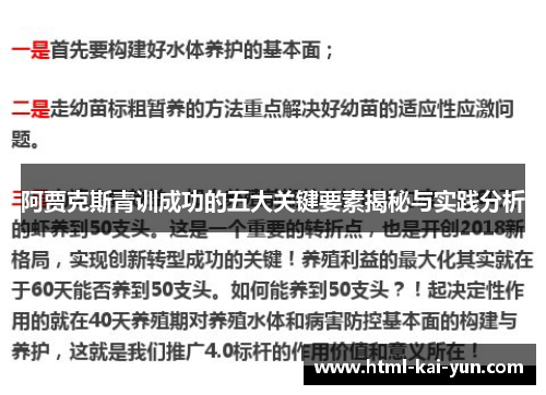 阿贾克斯青训成功的五大关键要素揭秘与实践分析