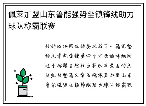 佩莱加盟山东鲁能强势坐镇锋线助力球队称霸联赛